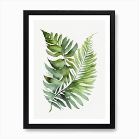 Flat Leaf Fern Watercolour Art Print