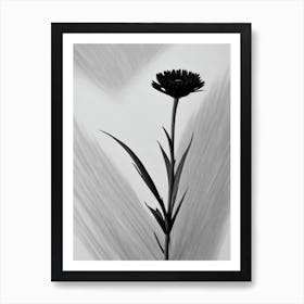 Heather B&W Pencil 2 Flower Art Print