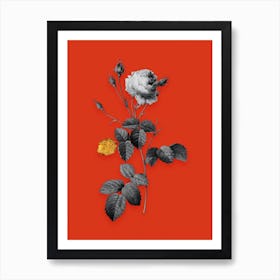 Vintage Provence Rose Black and White Gold Leaf Floral Art on Tomato Red n.0011 Art Print