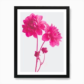 Hot Pink Dahlia 3 Art Print