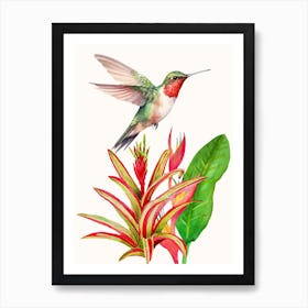 Hummingbird And Plant Art Print