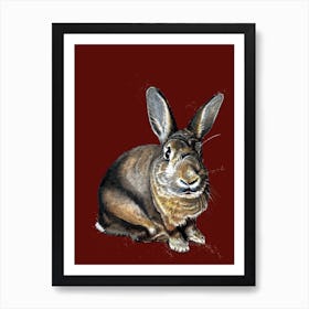 Meg The Bunny On Red Oxide Art Print