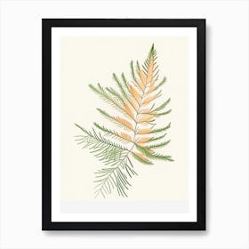 Cypress Leaf Illustration Art Print