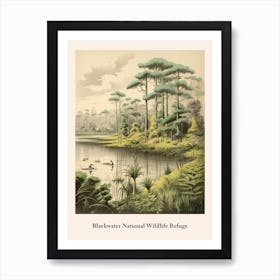 Blackwater National Wildlife Refuge Art Print