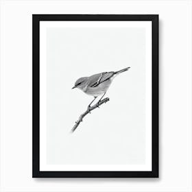 Eastern Bluebird B&W Pencil Drawing 2 Bird Art Print