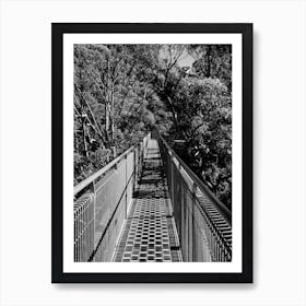 Treetop Walk - Walpole Western Australia Art Print