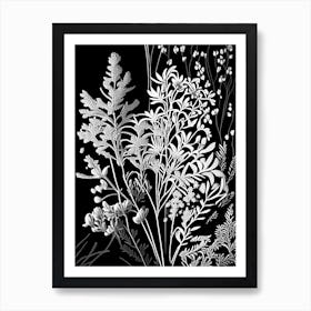 Wall Rue Wildflower Linocut 2 Art Print