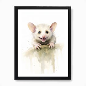 Light Watercolor Painting Of A Acrobatic Possum 4 Art Print