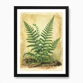 Vintage Illustration Hares Foot Fern 3 Art Print