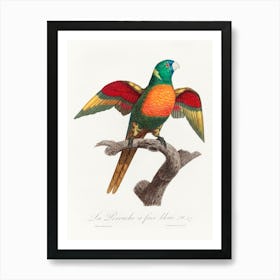 The Blue Headed Parrot Natural History Of Parrots, Francois Levaillant Art Print