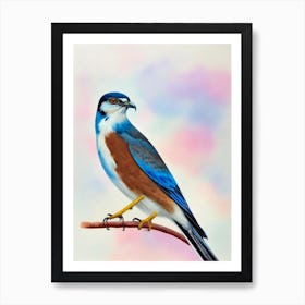 Eurasian Sparrowhawk Watercolour Bird Art Print