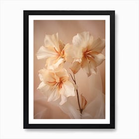 Boho Dried Flowers Amaryllis 1 Art Print