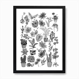 Flower Flash Art Print