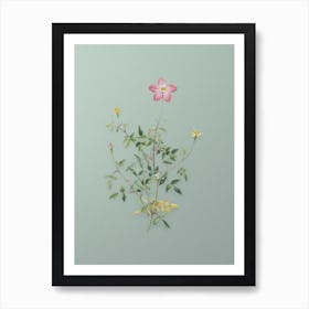 Vintage Single Dwarf Chinese Rose Botanical Art on Mint Green n.0188 Art Print