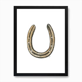 Lucky Horse Shoe  Art Print