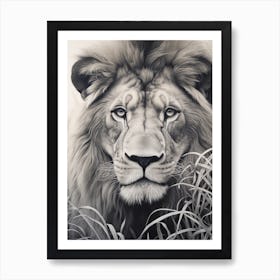 African Lion Realism Portrait 3 Art Print