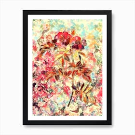 Impressionist Shining Rosa Lucida Botanical Painting in Blush Pink and Gold Art Print