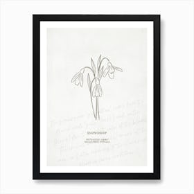 Snowdrop Birth Flower | Antique Art Print