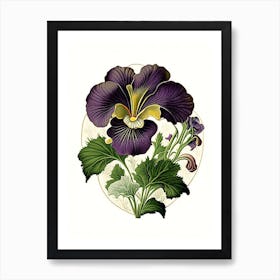 Pansy Wildflower Vintage Botanical 2 Art Print