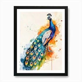 Peacock Watercolor Painting Art Print