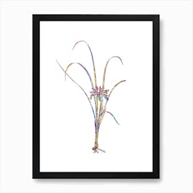 Stained Glass Grass Leaved Iris Mosaic Botanical Illustration on White n.0145 Art Print