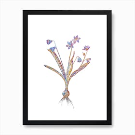Stained Glass Scilla Amoena Mosaic Botanical Illustration on White n.0009 Art Print