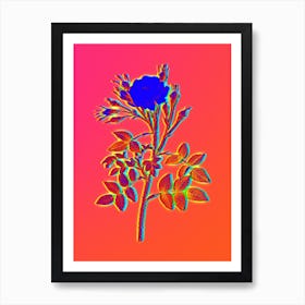 Neon White Rose of Rosenberg Botanical in Hot Pink and Electric Blue n.0273 Art Print
