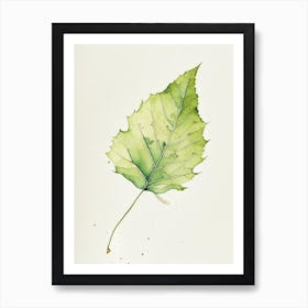 Sycamore Leaf Minimalist Watercolour 3 Art Print