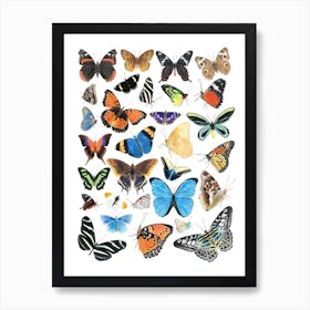 Butterflies Art Print