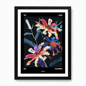 No Rain No Flowers Poster Cineraria 5 Art Print