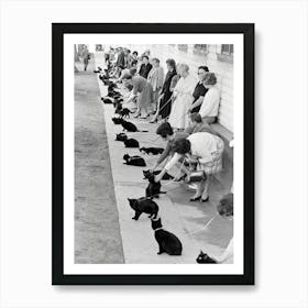Famous Black Cats on Hollywood Boulevard for Edgar Allen Poe Movie Horror Gothic Remastered Vintage Photograph Art Print