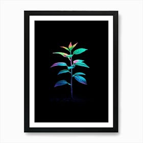 Plant In The Dark 32 Art Print