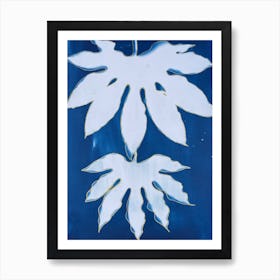 Blue Cyanotype  Aralia Leaf Print Art Print
