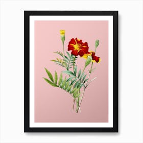 Vintage Mexican Marigold Botanical on Soft Pink n.0123 Art Print