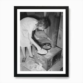 White Migrant Woman Cooking Cabbage In Tent Home, Edinburg, Texas By Russell Lee Art Print