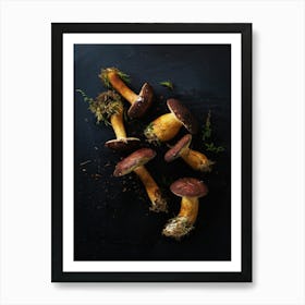 Wild mushrooms — Food kitchen poster/blackboard, photo art Art Print