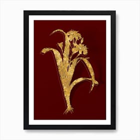Vintage Iris Fimbriata Botanical in Gold on Red n.0220 Art Print