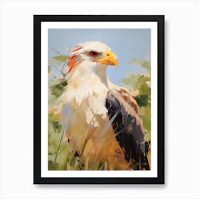 Bird Painting Crested Caracara 2 Poster