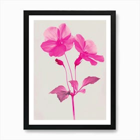 Hot Pink Impatiens 1 Art Print