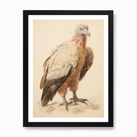 Vintage Bird Drawing Vulture 3 Art Print