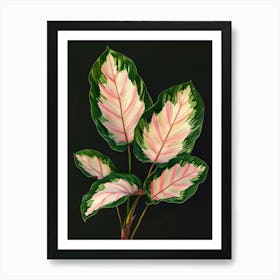 Pink Hibiscus Art Print