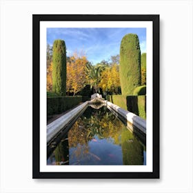 Water with fish # 2 -Series: the beautiful garden Art Print