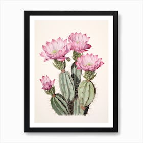 Vintage Cactus Illustration Gymnocalycium Cactus 1 Art Print