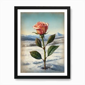 Rose In The Snow 1 Art Print