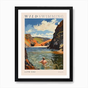 Wild Swimming At Llyn Cau Wales 1 Poster Art Print