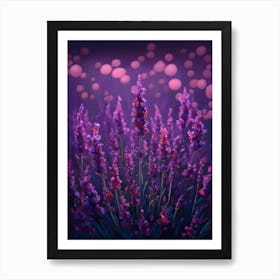 Lavender Field Art Print