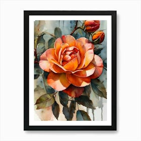 Orange Rose Watercolor Painting Art Print