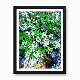 Natural fresh flowers and green plants 3 Art Print