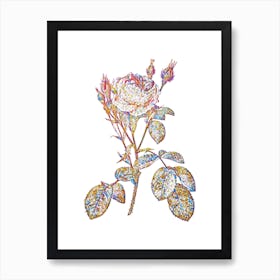 Stained Glass Double Moss Rose Mosaic Botanical Illustration on White Art Print