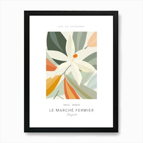 Starfruit Le Marche Fermier Poster 3 Art Print